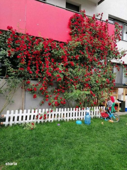 Apartament de 3 camere, 67 mp, 77mp gradina, zona Tineretului