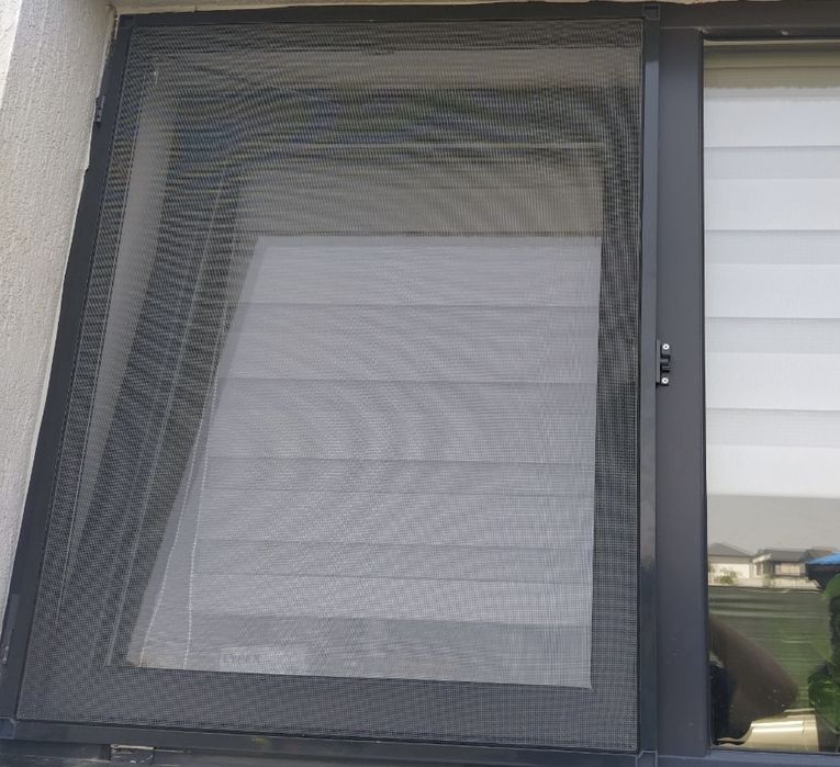 Plase Insecte la comandă