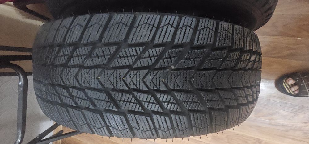 Nexen Winguard ice Plus (195/65 R15)