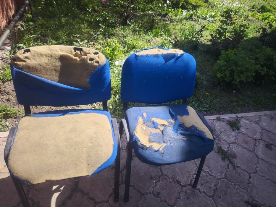 Отдам даром стулья