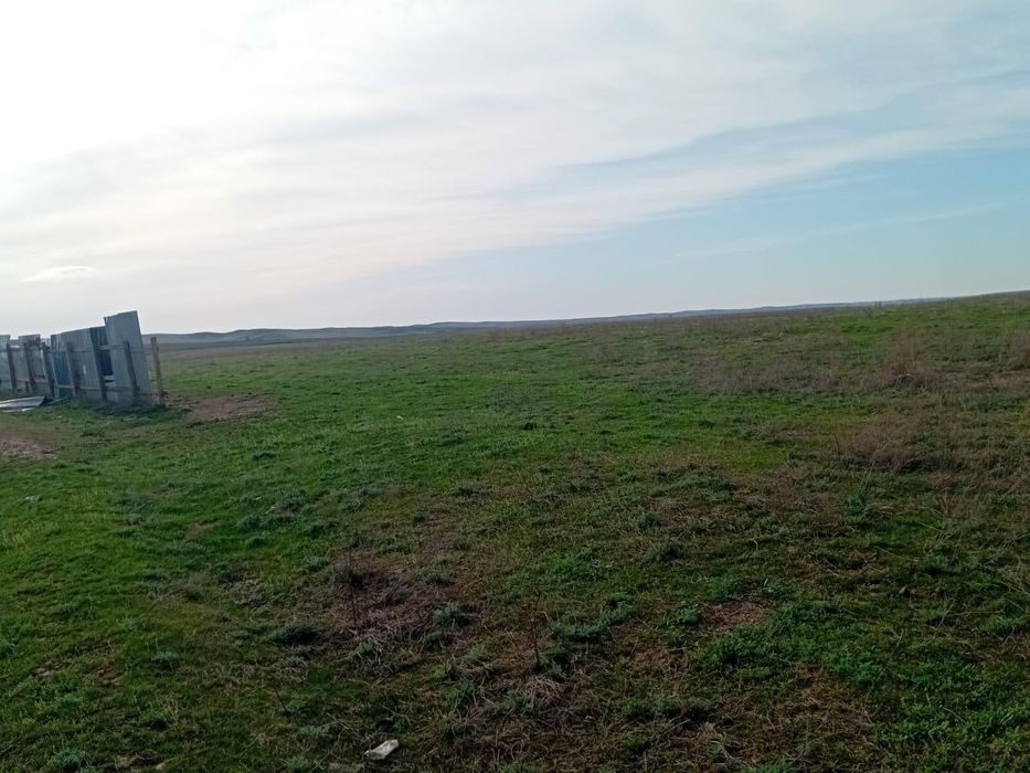 Жер арендаға беріледі 10 га