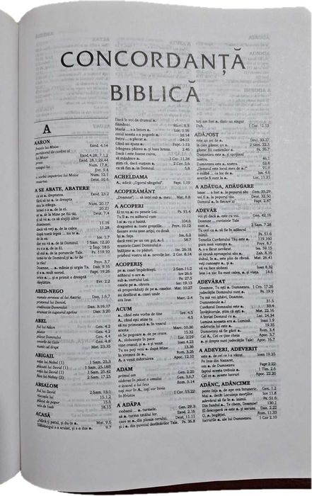 Biblia Planului Profetic Ediția a II - a (Dumitru Cornilescu)