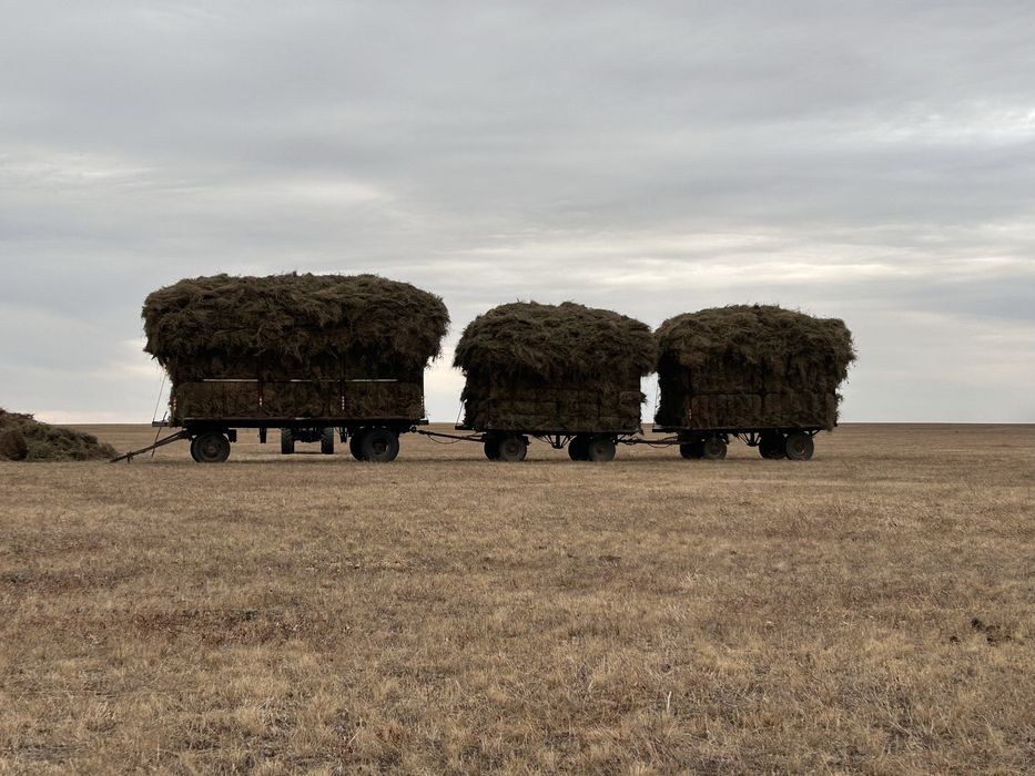 Зиловский прицеп