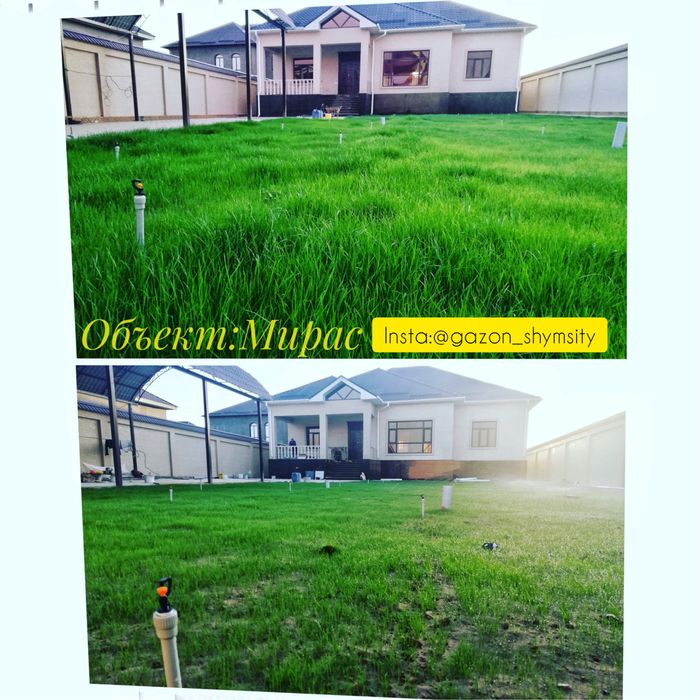 Газон Автополив ручной полив