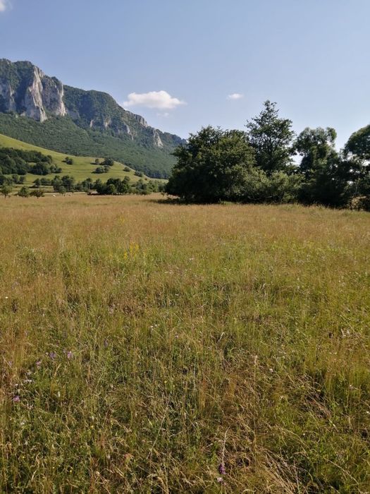 Vand teren in Rimetea