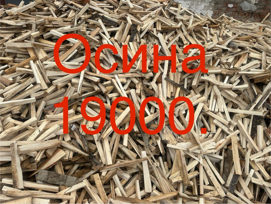 Дрова колотые, осина