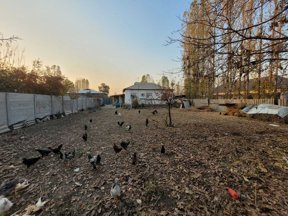 СРОЧНО, продаётся земля в районе "Юкори Чирчик" !! Посёлок сотсализм..