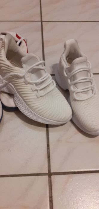 Adidas sport fete