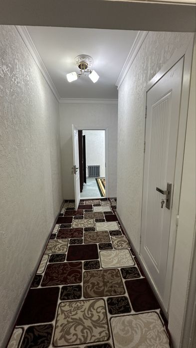 Kvartira arenda segeli dostlik