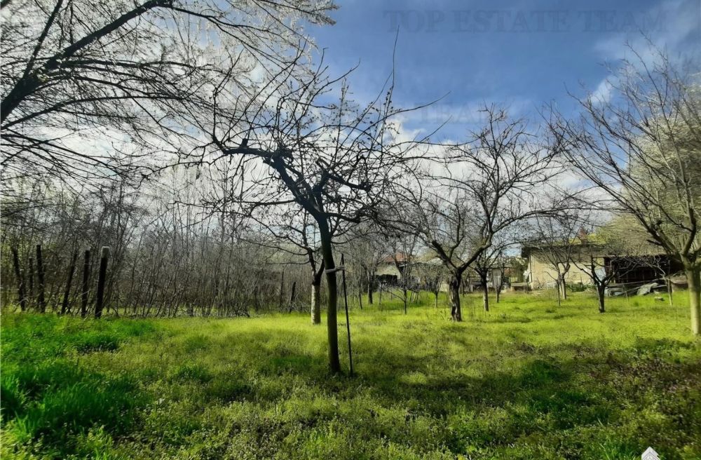 Grădină Sanandrei ultracentral