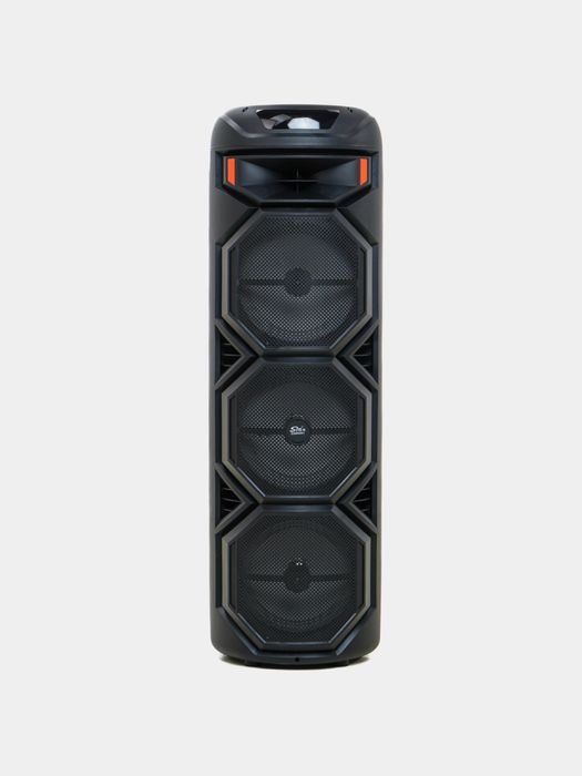 Arzon kalonka bass sing-e ZQS8301