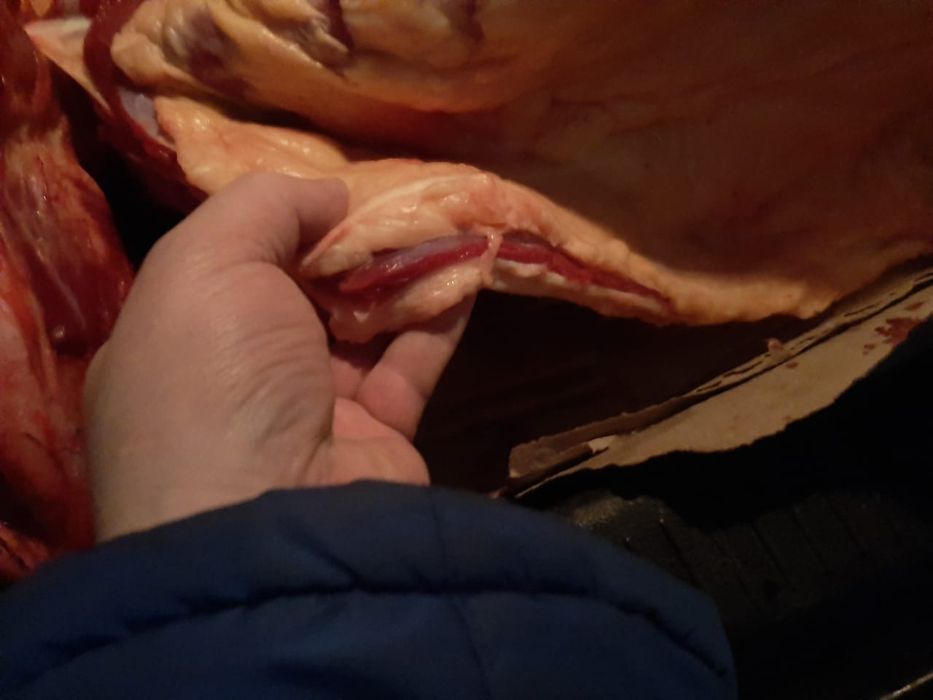 Конина тай жарты еті