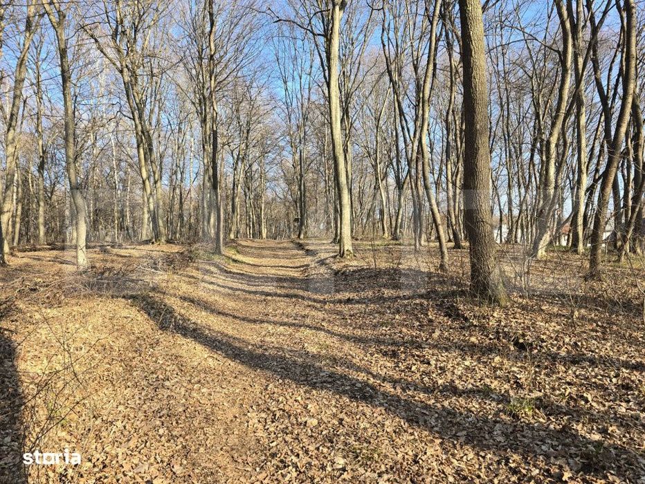 Teren cu sufrafata de 3000 mp in Padurea Faget