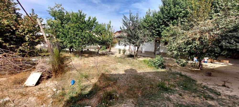 Прадайоса 12 сотик