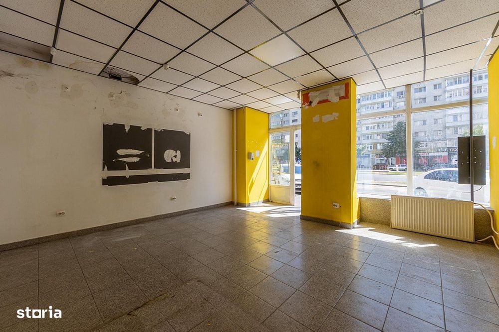 Pantelimon 291, stradal, 50mp
