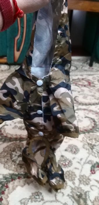 Одежда на осень для мелких пород