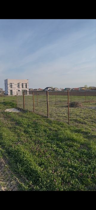 Teren Clinceni Ilfov