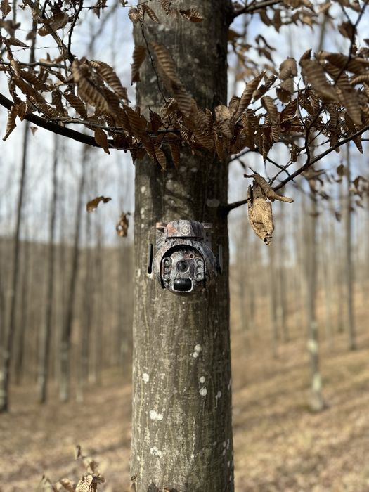 Camera Vanatoare rotativa  ForestVision Live C6