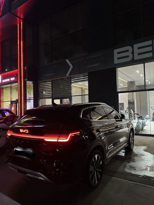 Byd Champion restayling