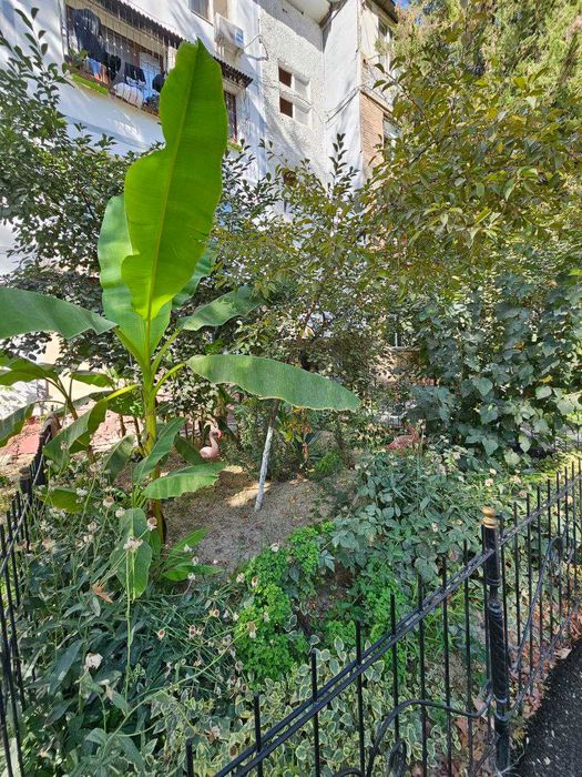 Юнусабад 13. 4 этажли домнинг 1 этажида 4 хонали сотаман.Ипотека