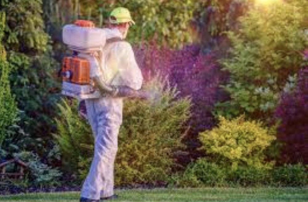 Обработка плодовых деревьев