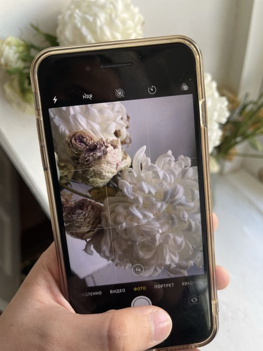 Iphone 7 plus apple