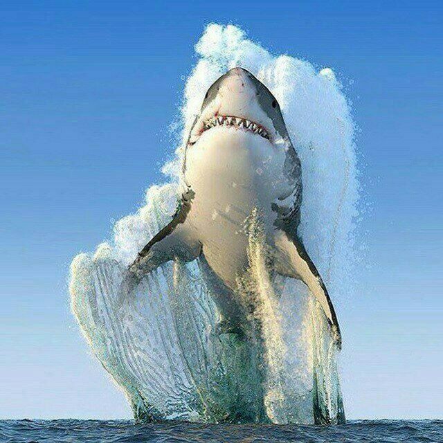 Срочно продается рыбхоз!