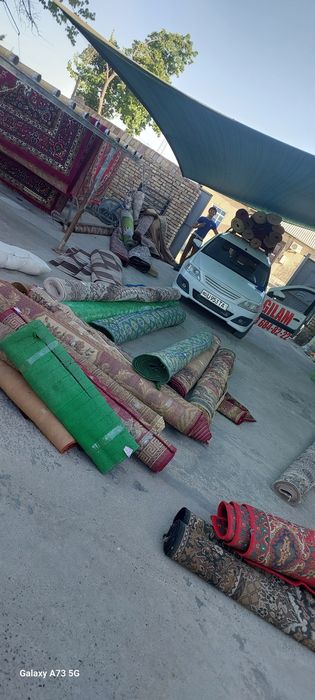 Гилам ювиш ШОХОНА