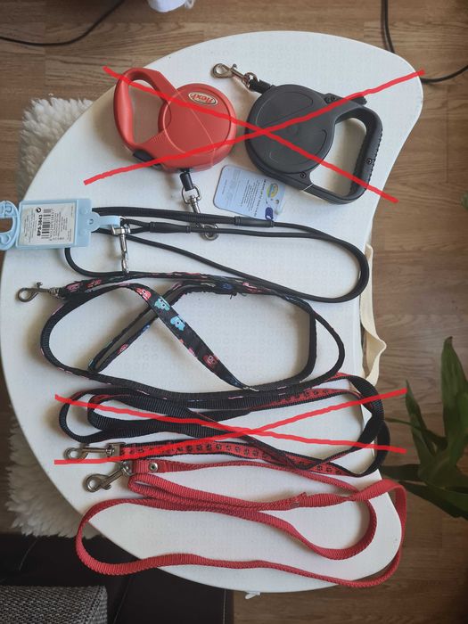 Articole animale: Lesa, Ham, Zgarda, Botnita, Boluri, Perie, Jucarii