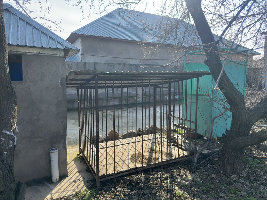 Вольер для собак