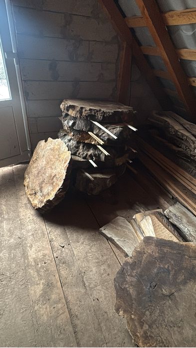 Blaturi de masa nuc stejar frasin salcam