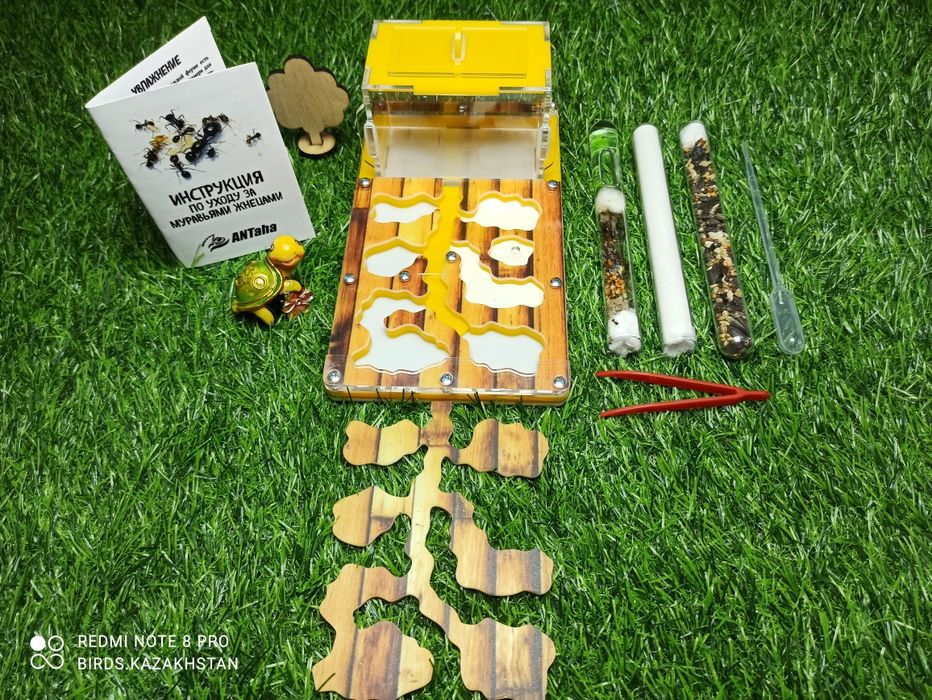 Муравьиная ферма + Муравьи Жнецы