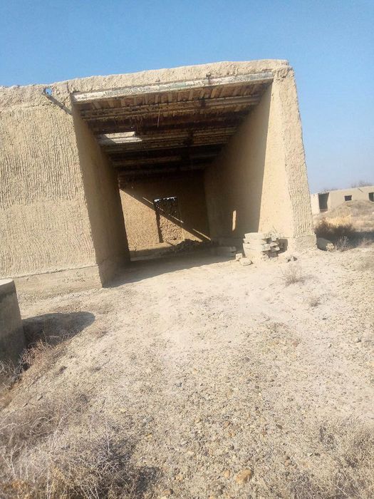 Kotej hovli sotiladi