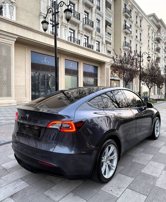 Tesla Model Y USA 2021/2022