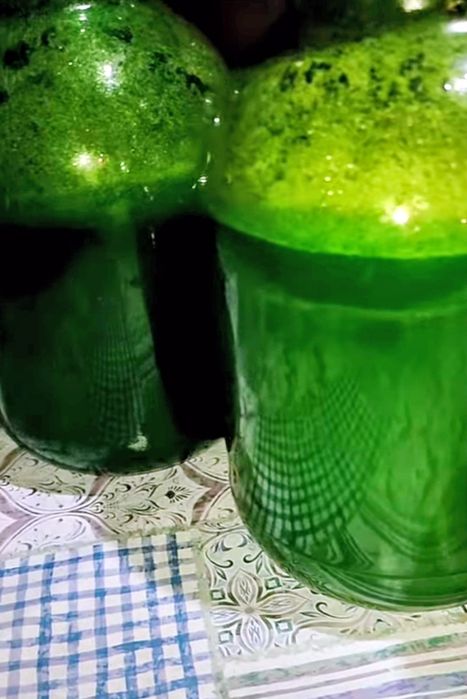 Майский сок лопуха