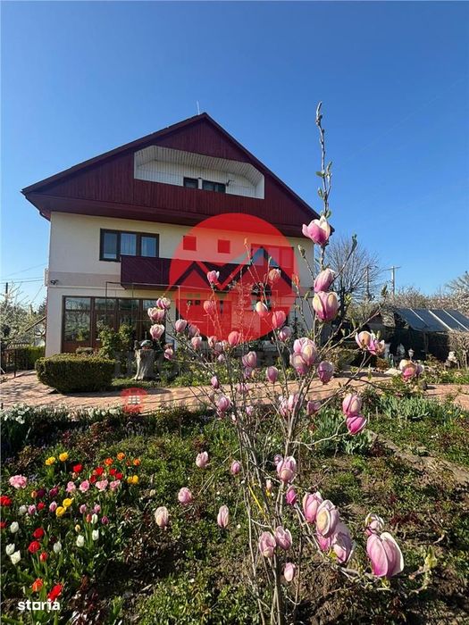 Afacere la cheie, Pensiune Tulcea 9 Mai cu deschidere la balta