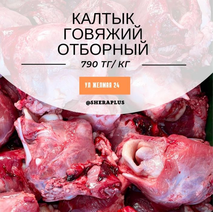 Мясо корм для собак и кошек SheraPlus