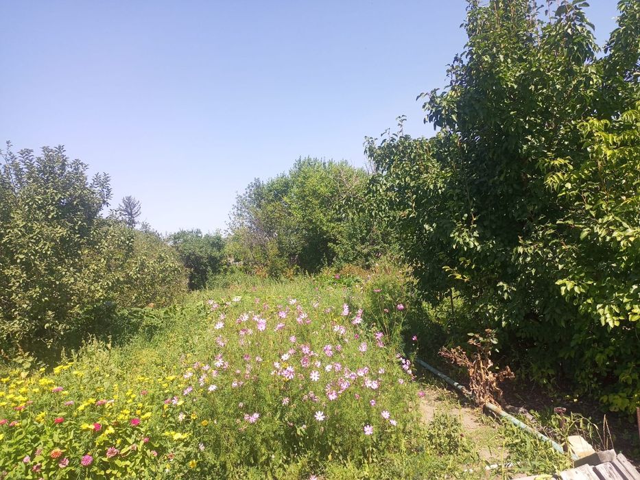 Продаётся дача в Михайловке