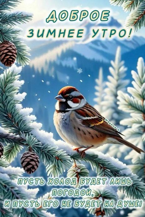 Детскую одежду отдам