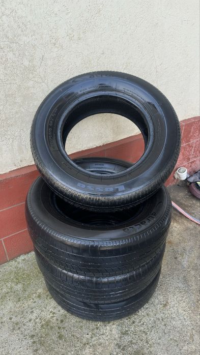 Damas va Labo balonlari