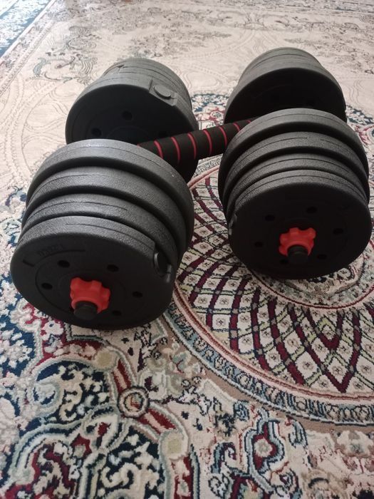 Гантели разборные