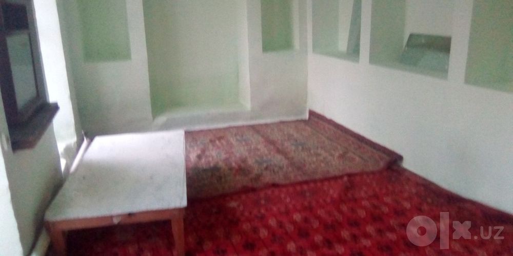 Talaba yigitlarga arzon ijara