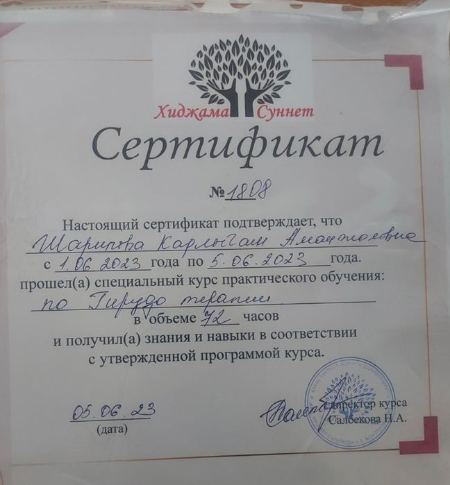 Хиджама и гирудотерапия с выездом