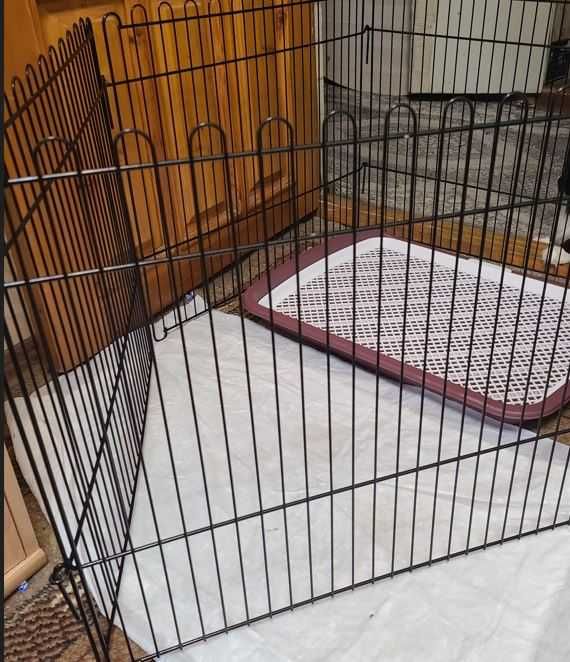 Продаю лоток-туалет для щенков или кошек