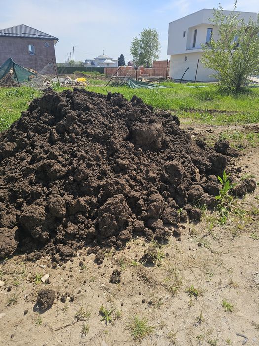 Pământ vegetal si de umplutura