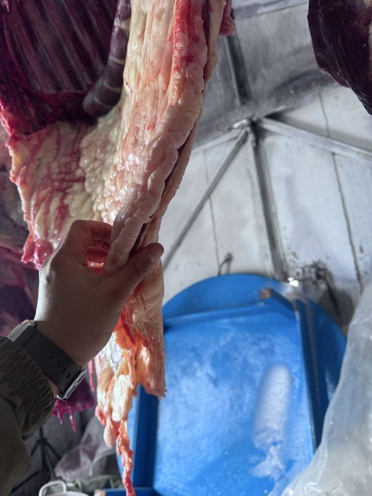 Жарты тай еті сатылады