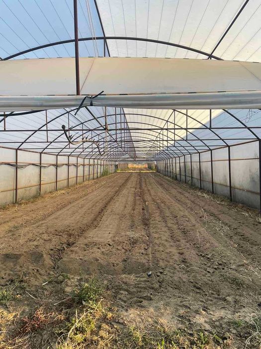 Продава се Земеделски имот в с. Триводици, Област Пловдив -  кв.м за 16490 €/дка - Снимка #4