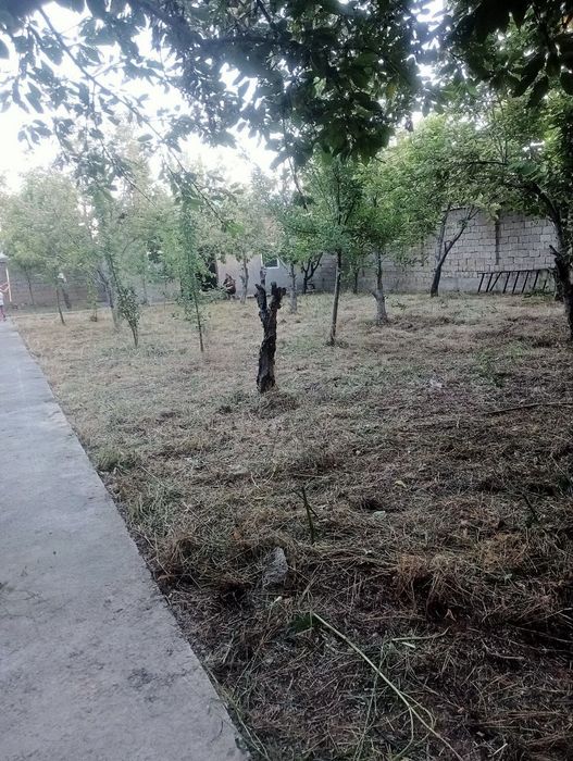 Участок 6 соток, 2 комнатная времянка есть (своя) Черняевка