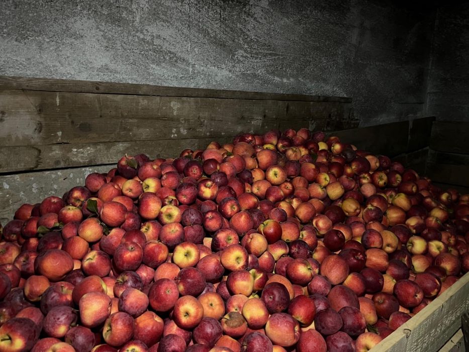 Vand mere diferite soiuri