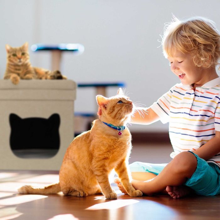 Taburet pliabil cu culcus pentru pisici 2 locuri de dormit perna capac